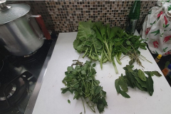 anjos-e-arcanos-rituais-2-1