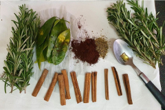 anjos-e-arcanos-rituais-3