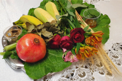 anjos-e-arcanos-rituais-32