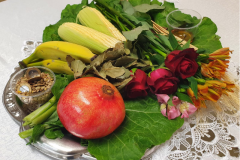 anjos-e-arcanos-rituais-4